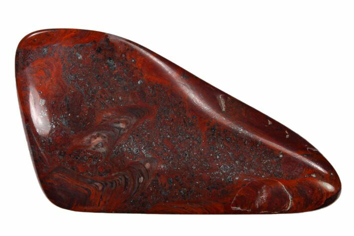 Polished Stromatolite (Collenia) - Minnesota #155588